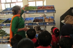 Field Trip Vegetable Market