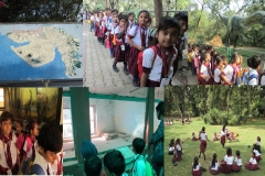 Picnic Grade I and II