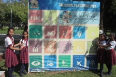 Picnic Grade III to VII