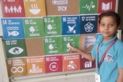 SDG Group Discussion