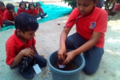 SDG World’s Largest Lesson